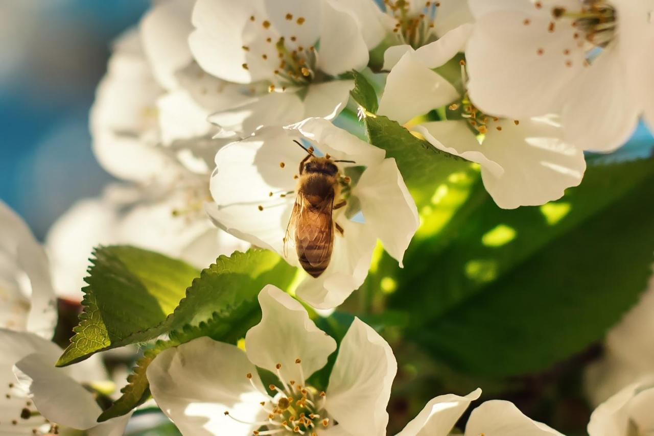 Barn Hives Yallingup Zewnętrze zdjęcie